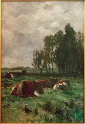 Cows in the Meadow